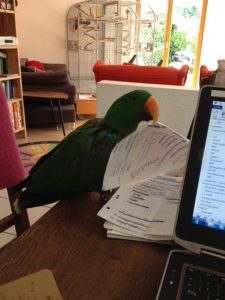 Artur hilft im Büro und beim Lernen